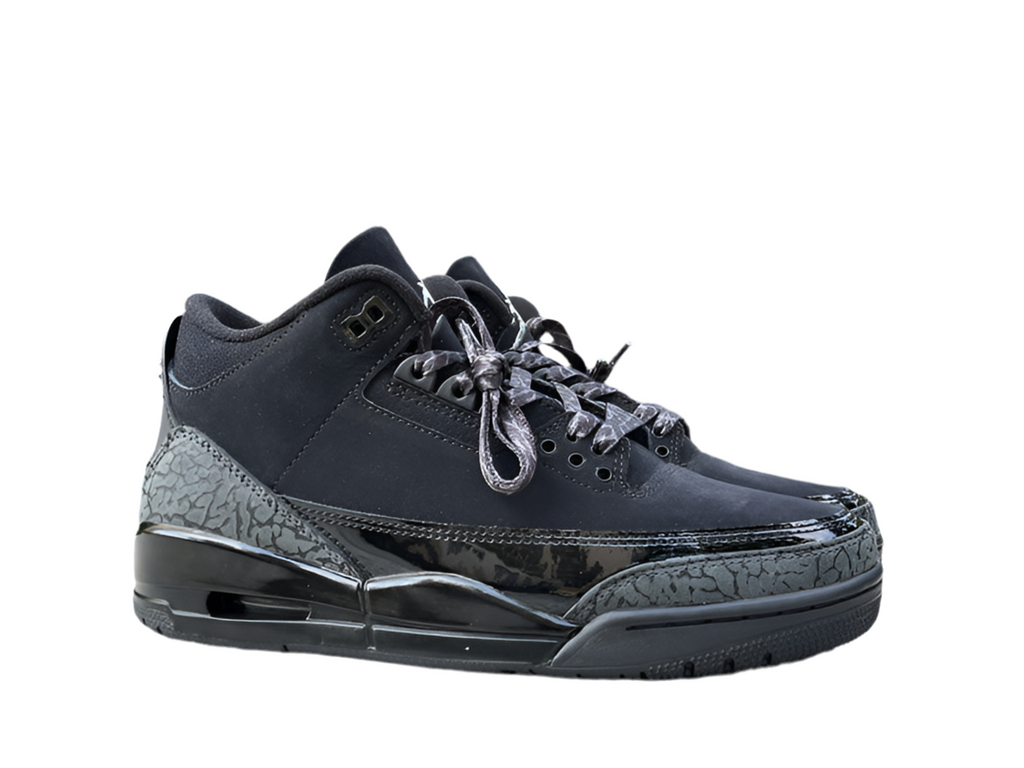 Air Jordan 3 "Black Cat"